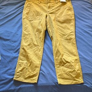 Madewell Camel Khaki Pants. NWT